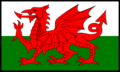800px-Flag of Wales 2 (bordered).svg.png