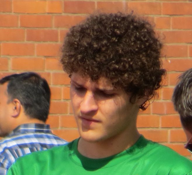 Datei:Almpanis3.JPG